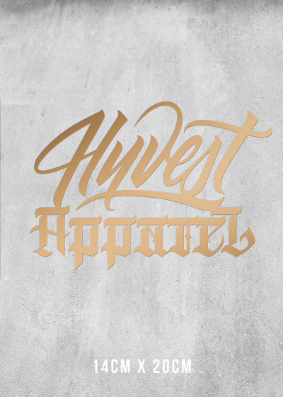Plott Aufkleber Gold Metallic 14x20