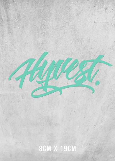 Plott Aufkleber Mint 8x19
